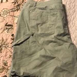 Light Sage Green Faded Glory cargo shorts